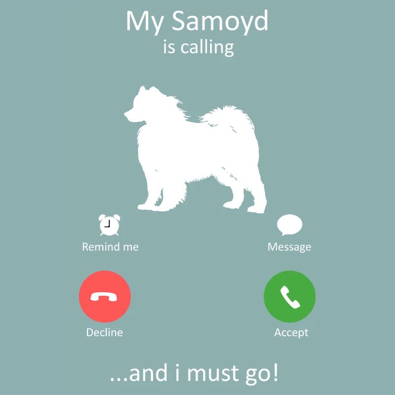 Samoyed Calling Funny Dog Phone Interface