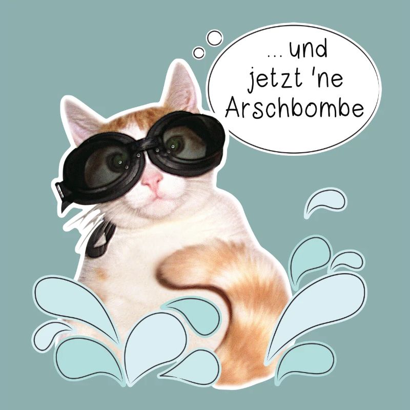 Cat - summer - vacation - sun - cannonball - DD