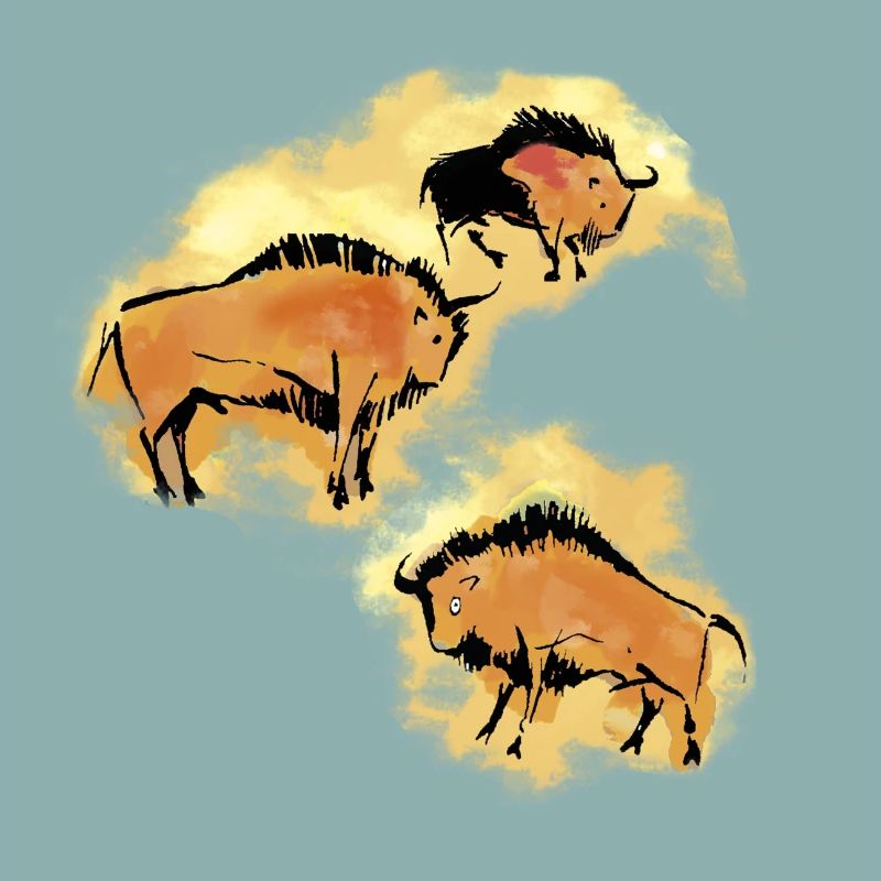 Bison