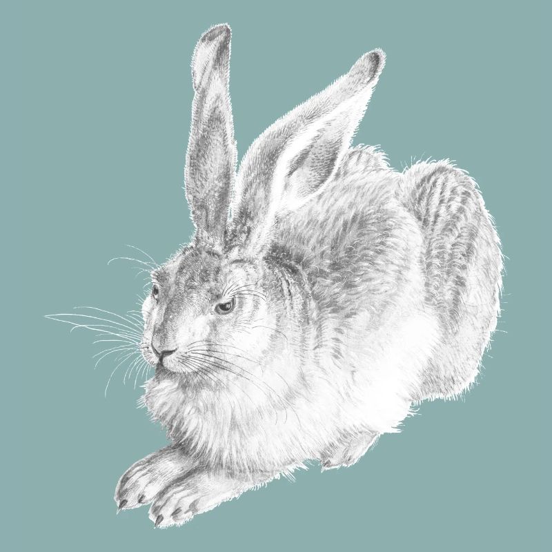 WHITE RABBIT | Schneehase nach Albrecht Dürer