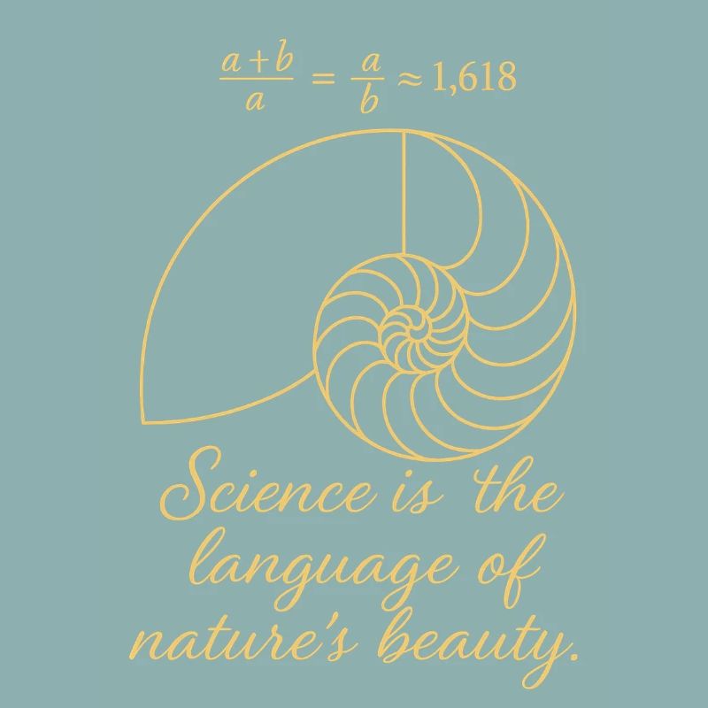 Shell of Fibonacci