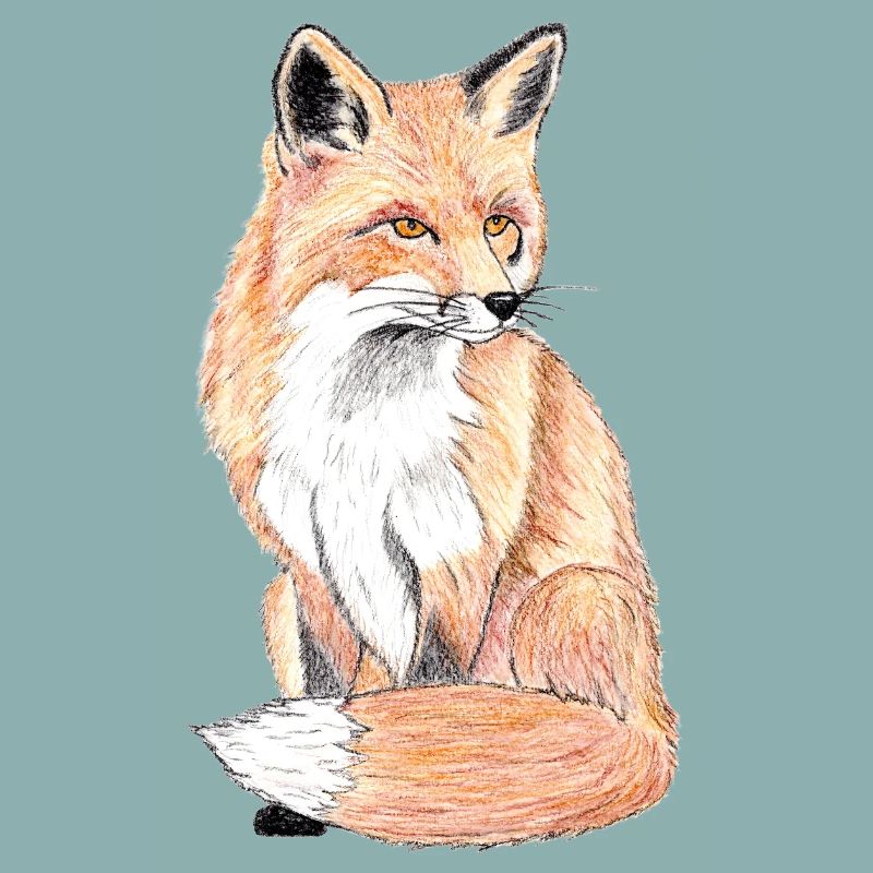 Kleiner Waldfuchs - ein sanfter Begleiter