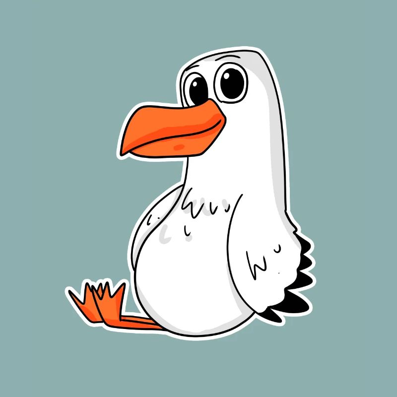 mouette