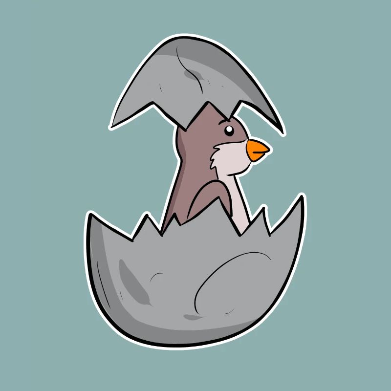 Bébé Moineau Domestique