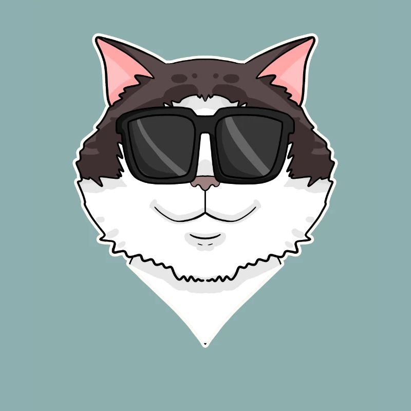 Ragdoll Cat