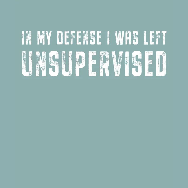 In My Defense I Was Left Unsupervised Spruch