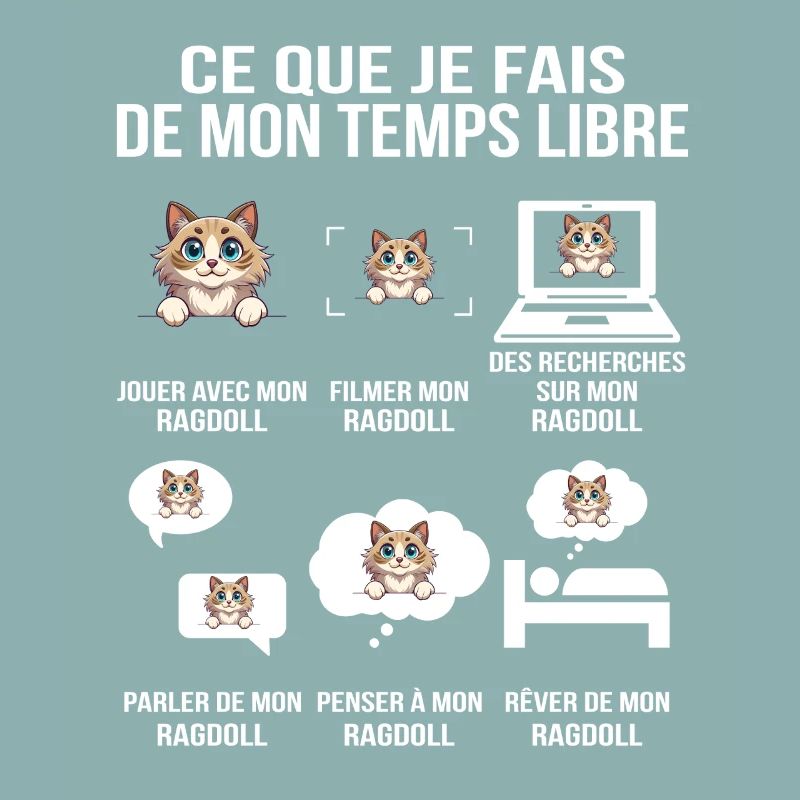 drôle Ragdoll – Ce que je fais de mon temps libre