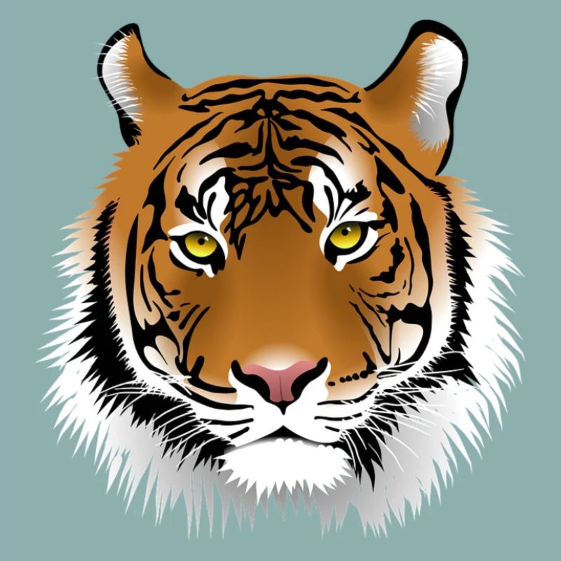 Tiger head