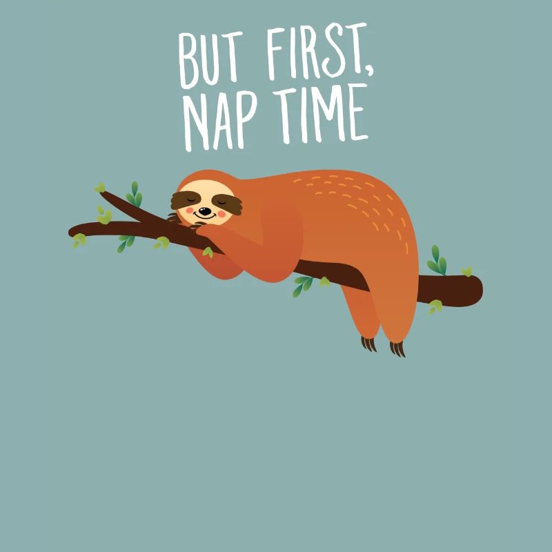But First, Nap Time - Lazy Sloth