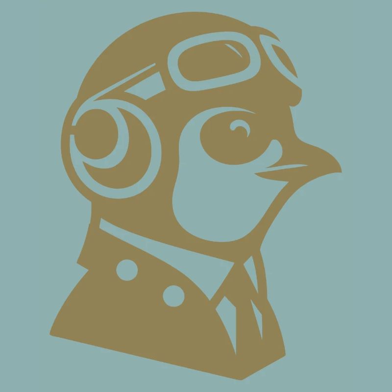 Pinguin Pilot Flugzeug fliegen Flugschein