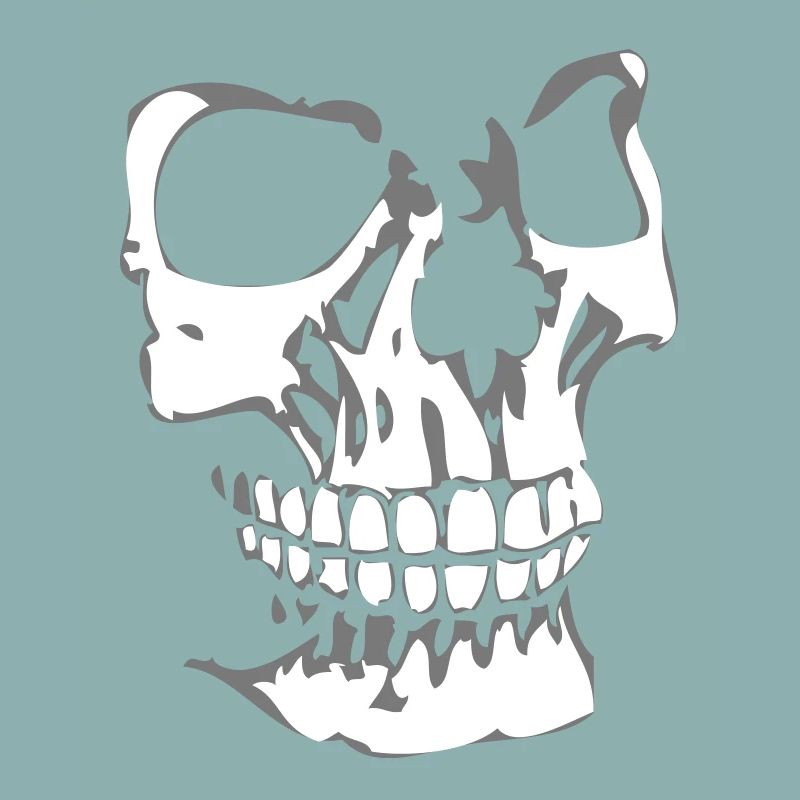 Droit crâne visage 3D
