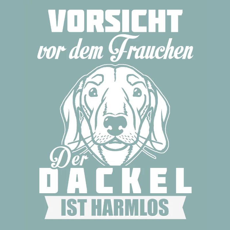 Dachshund