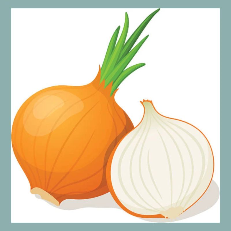 onion