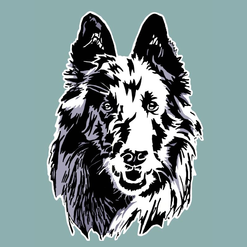 groenendael