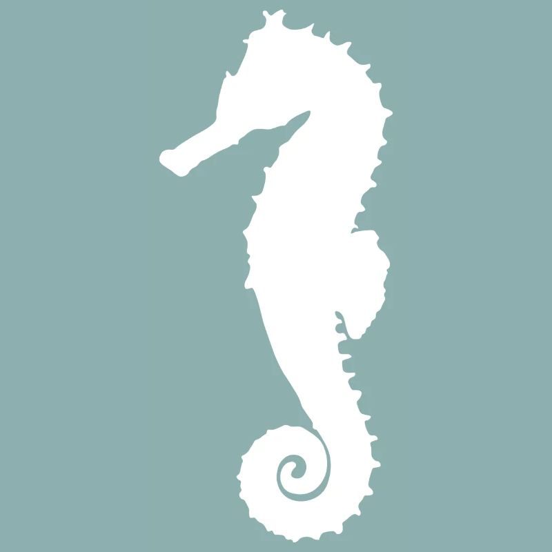Hippocampe blanc