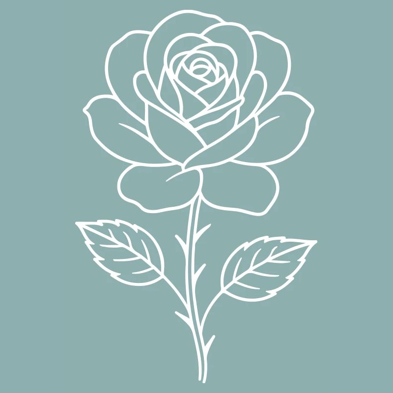 Rose Contour