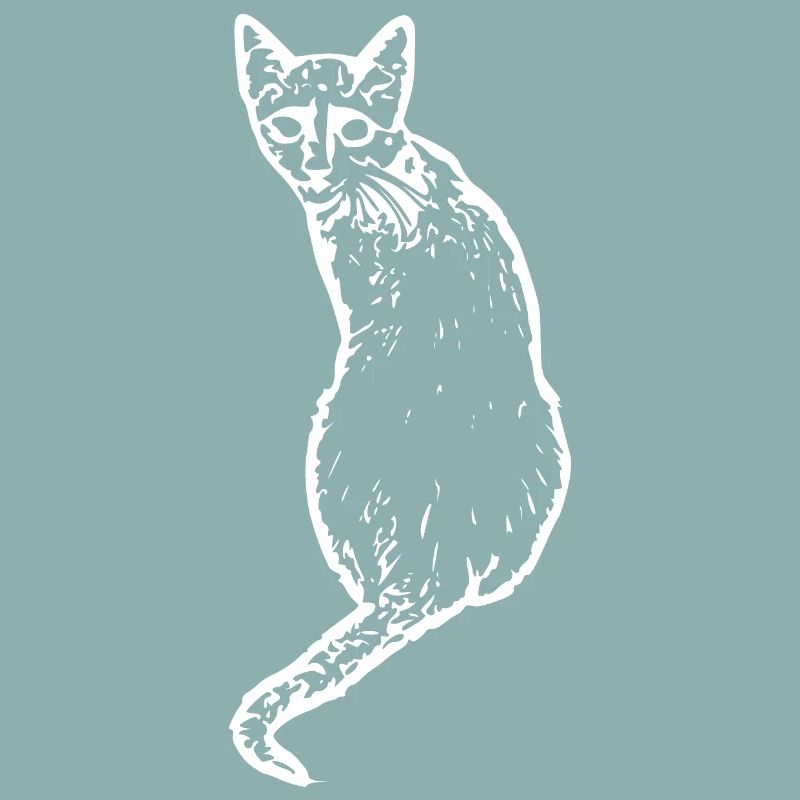 Chat Blanc Blanc Chats Chaton Mignon