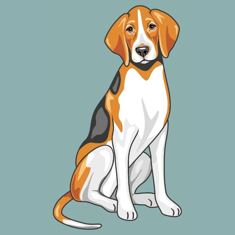 Sitting foxhound
