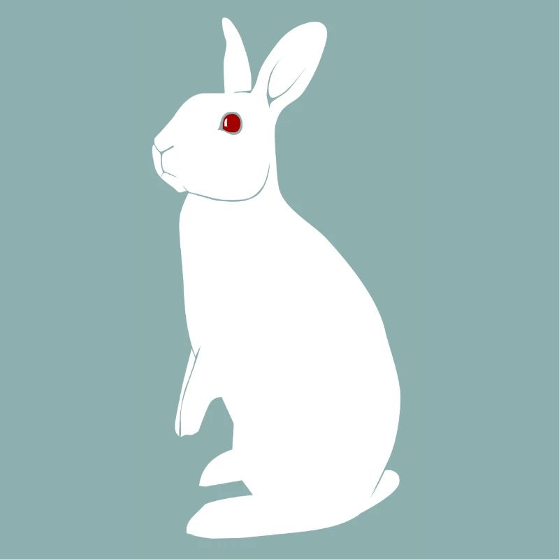 Lapin albinos