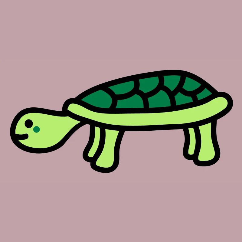 turtle