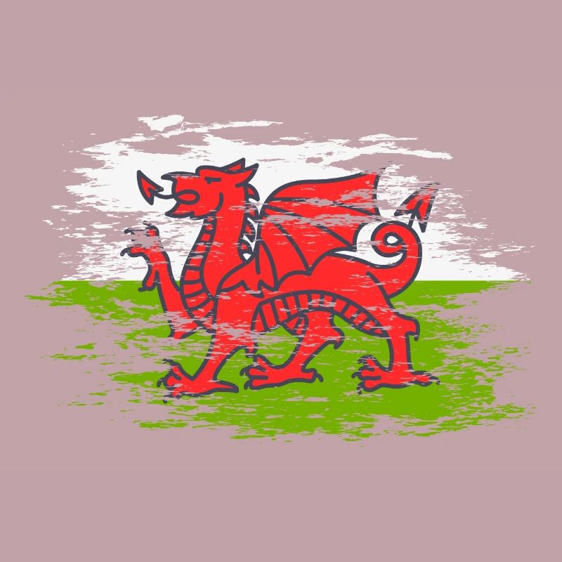 Drapeau du Pays de Galles utilisé