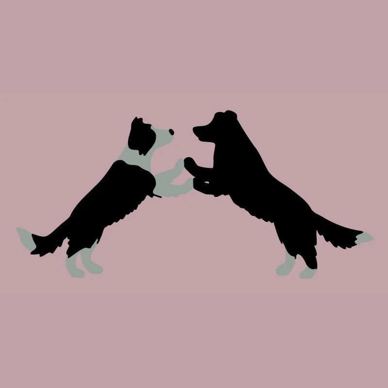 dog dancing Border Collies