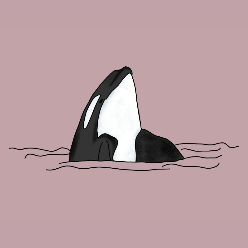 Orca