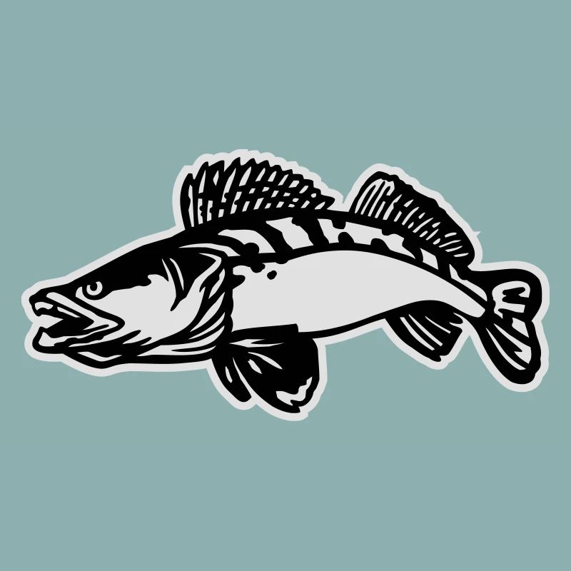 zander1__2c_mit_kontur