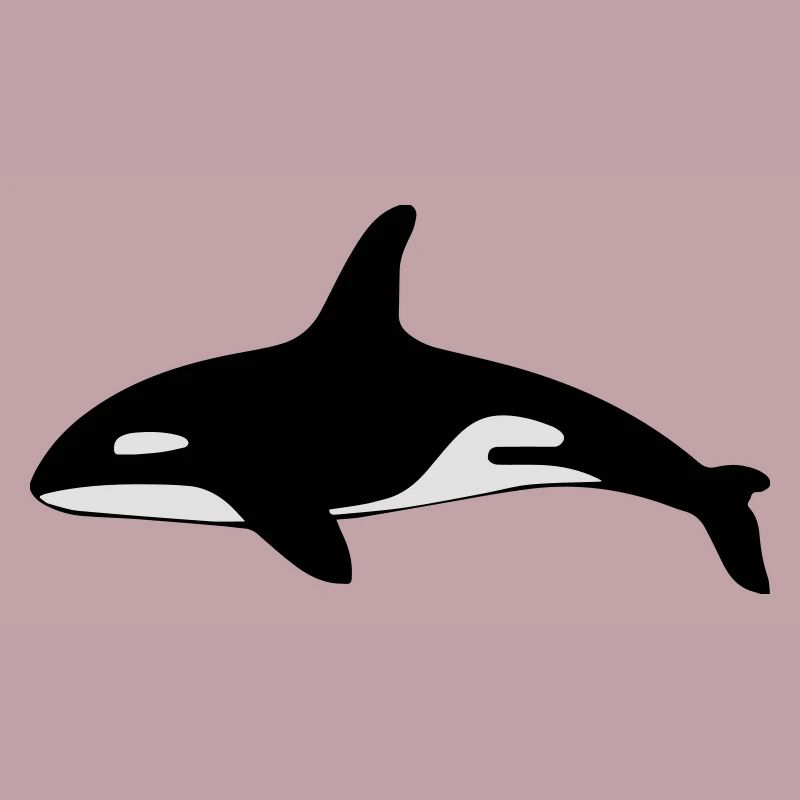 Killer whale shark ocean