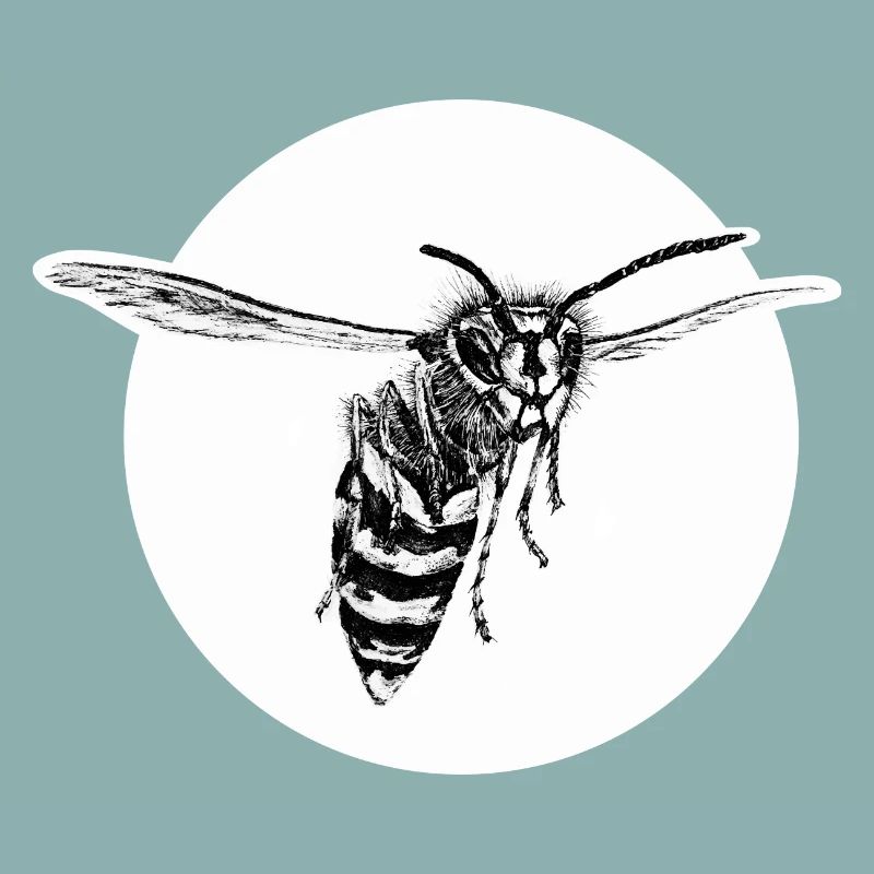 Wasp - Bee - Insect