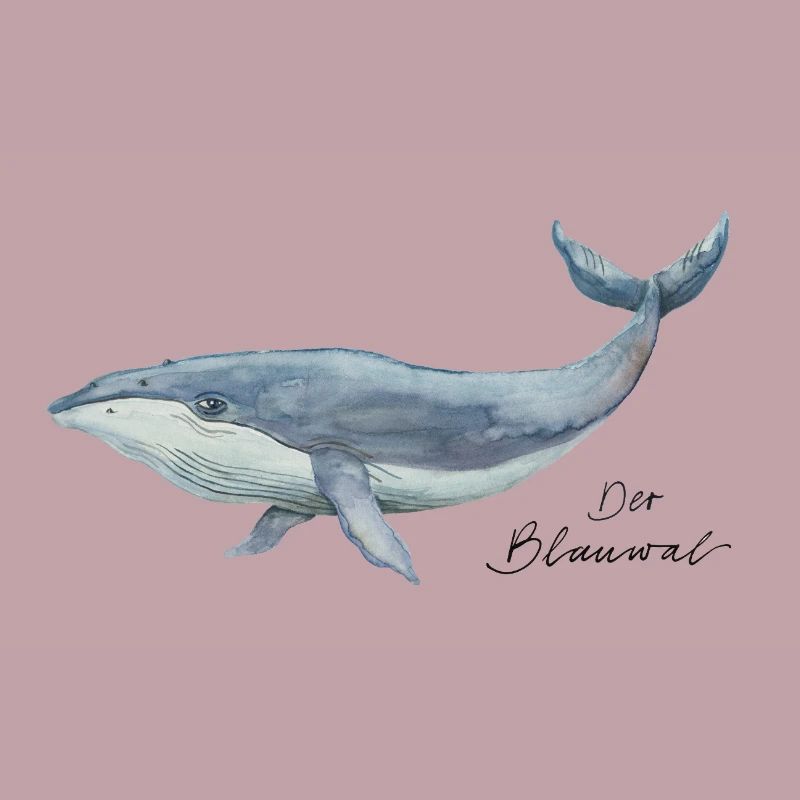 Der Blauwal