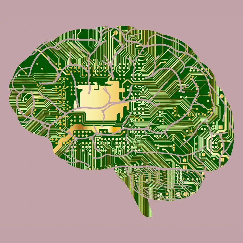 Gehirn - Computerchip - Chip - Computer