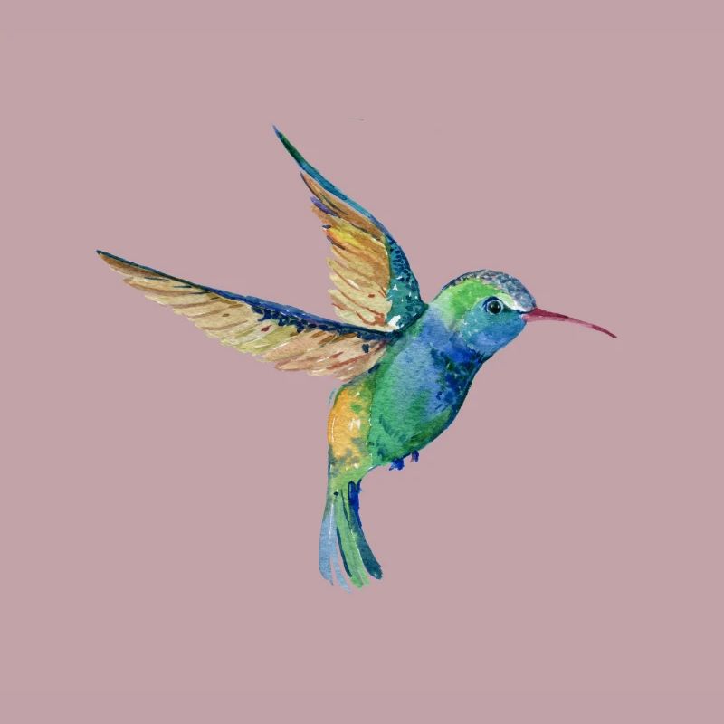 Humming Bird Lovers Bird Watcher Gift Design