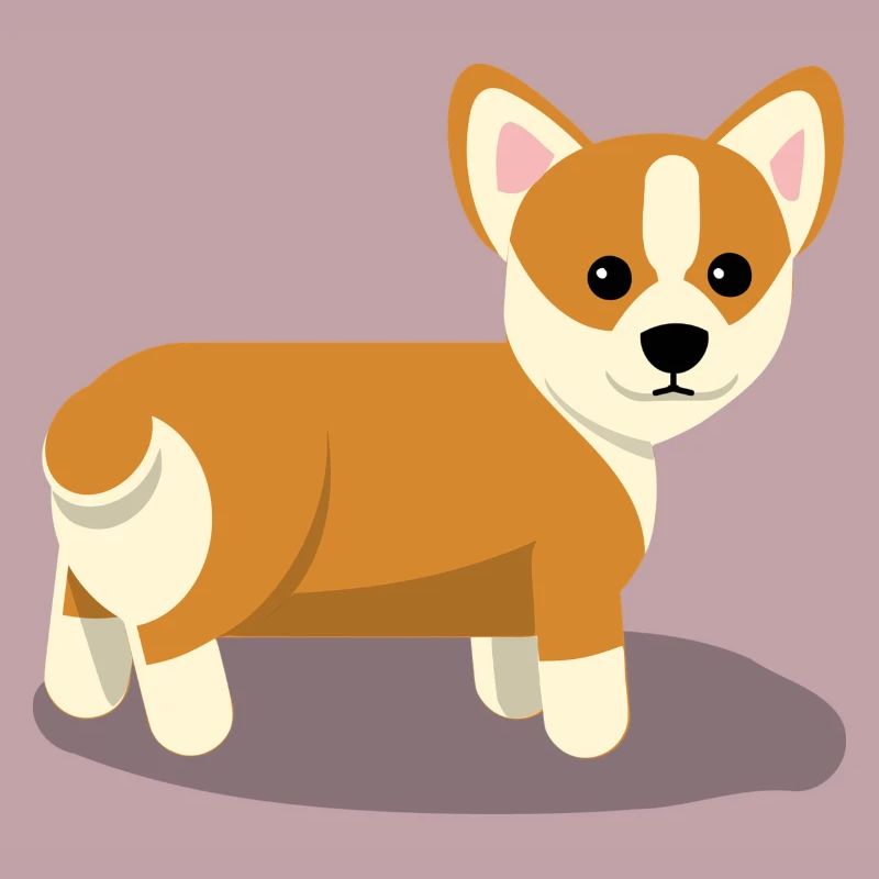 Corgi