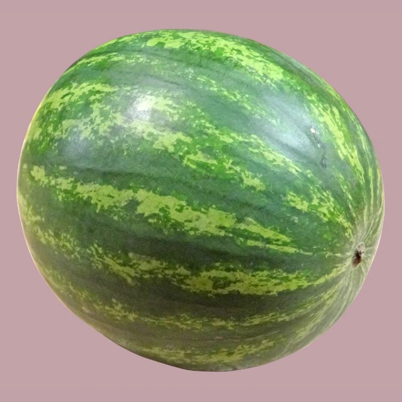 veggie pastèque pastèque melon melon gemues