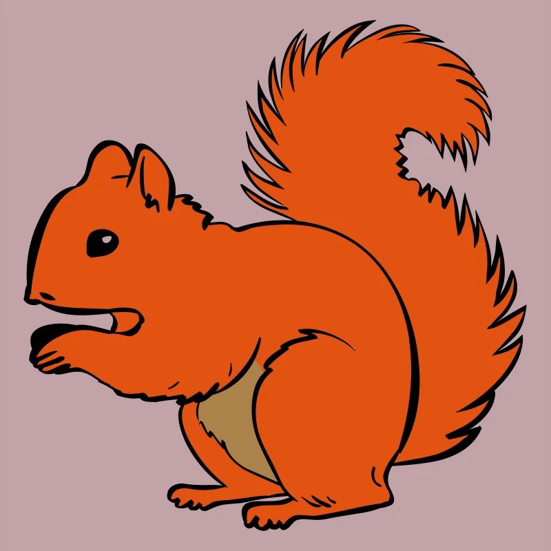 écureuil