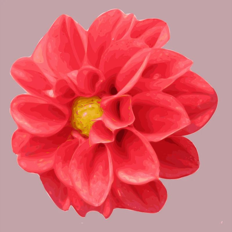 fleur