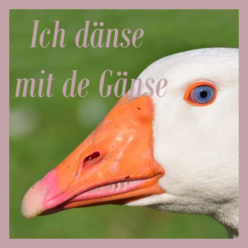 Ich dänse mit de Gänse