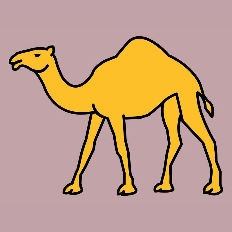 kamel_02