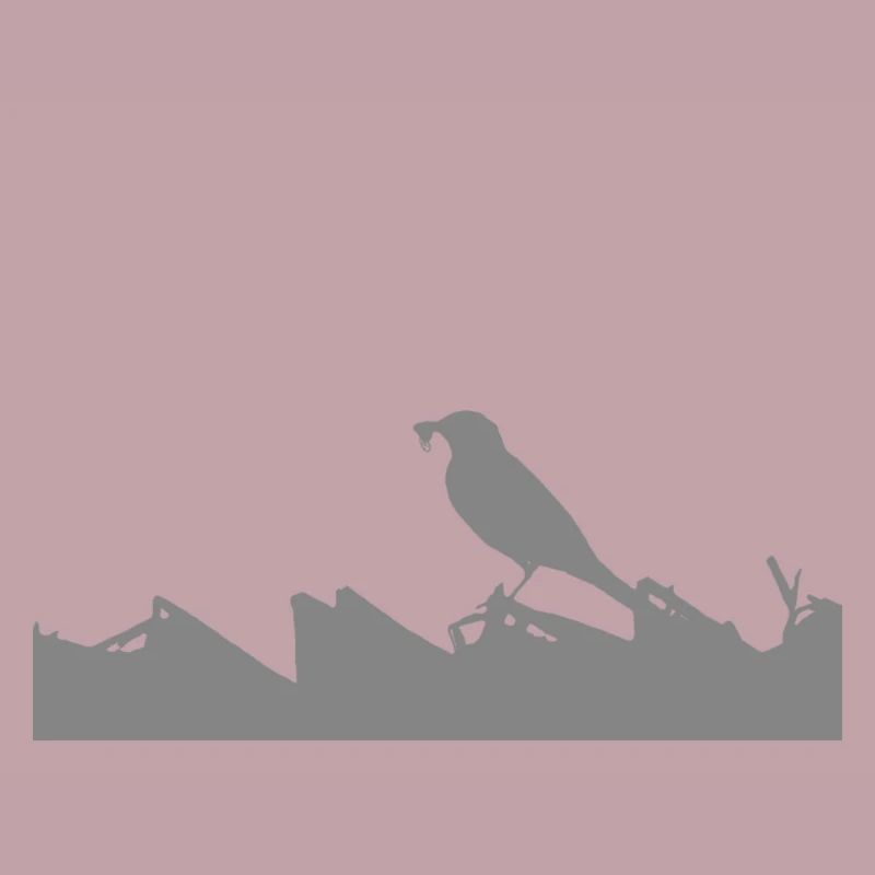 Superpower: Wagtail
