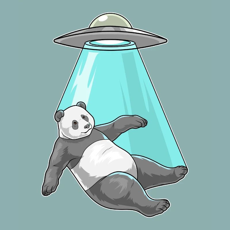 Vaisseau spatial Panda