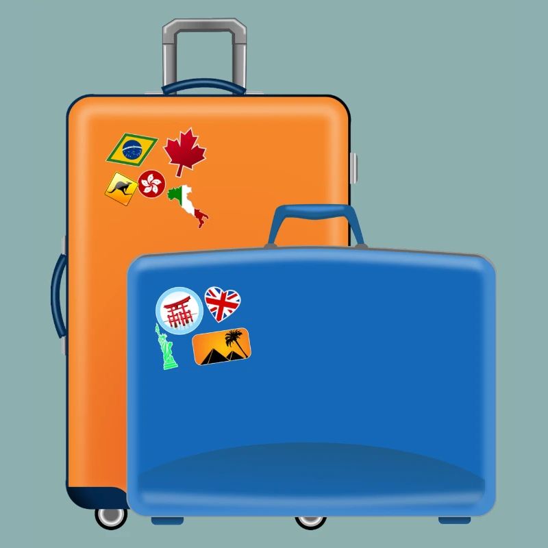 valise