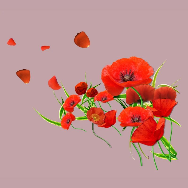 Coquelicots