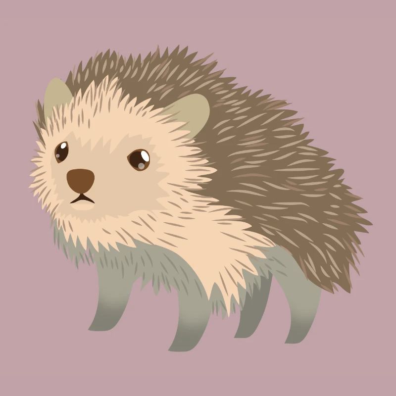 cute little Hedgehog