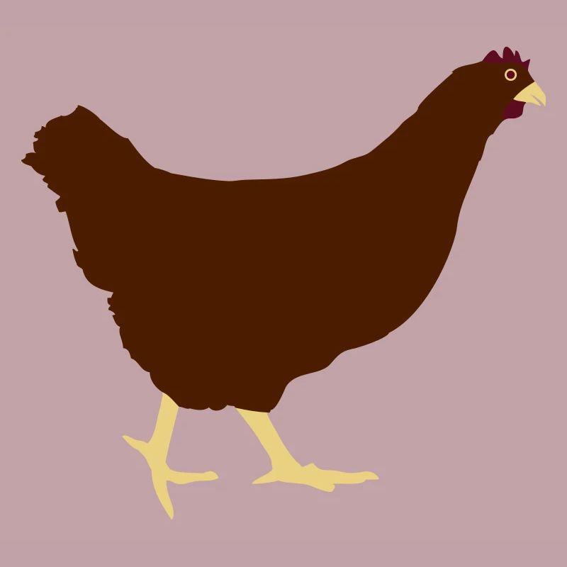 En cours d'exécution poule poulet