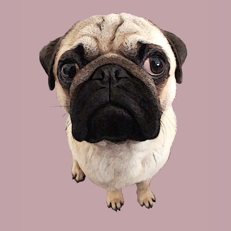 Pug views