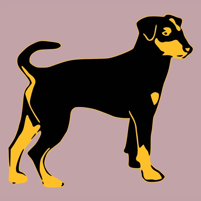 pinscher hund