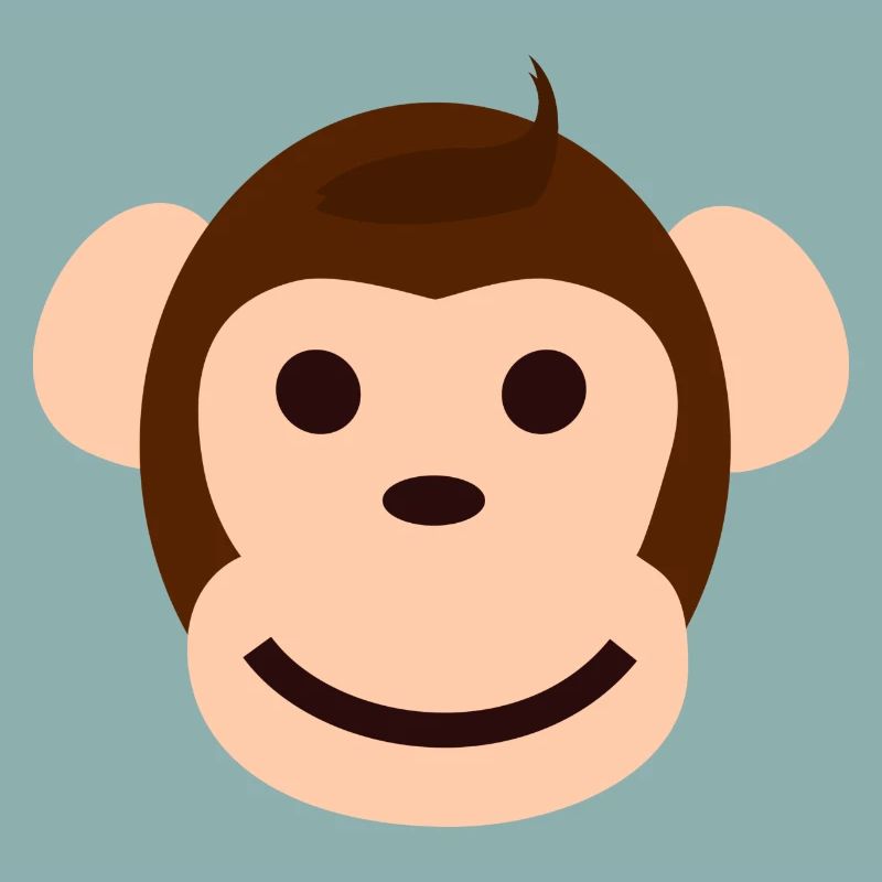 Collection singes