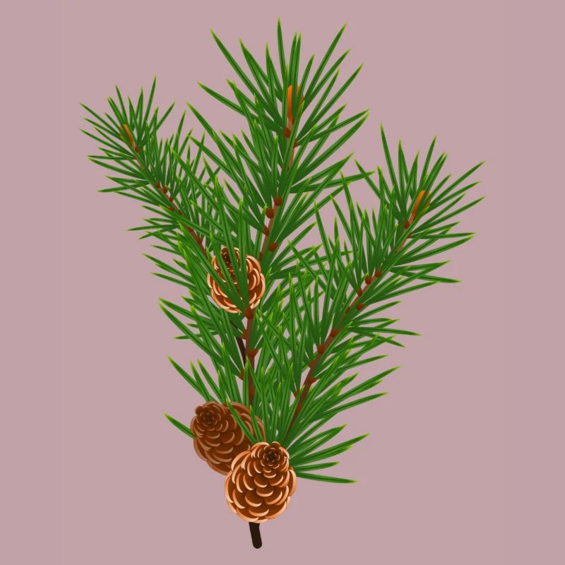 Pine branch