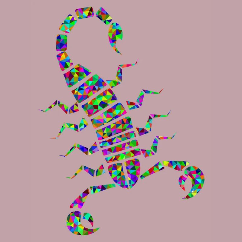 skorp 7